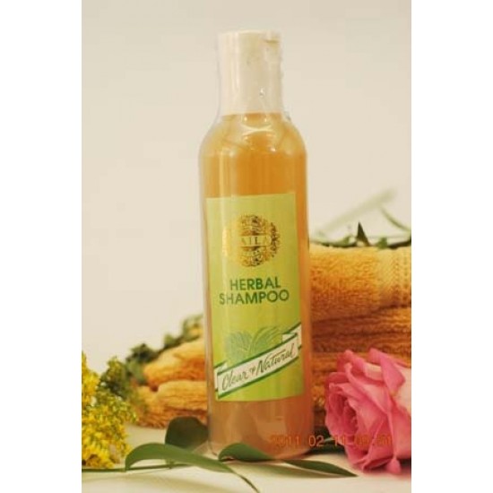 Herbal ( Natural ) Shampoo